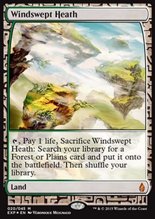 Magic: The Gathering Windswept Heath