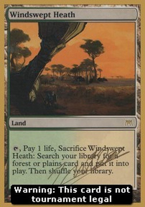Magic: The Gathering Windswept Heath