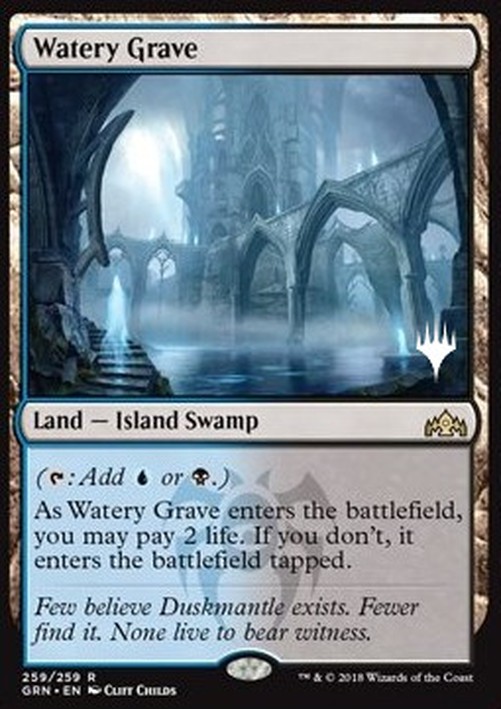 Magic: The Gathering Watery Grave