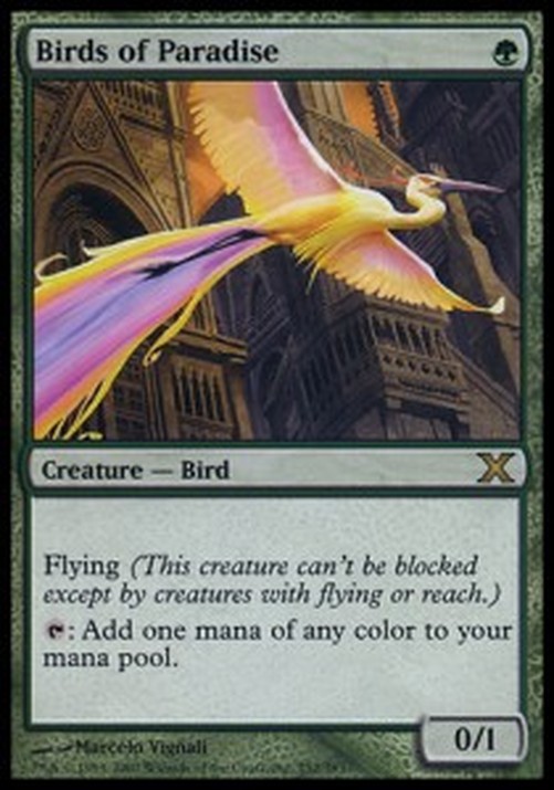 Magic: The Gathering Birds of Paradise