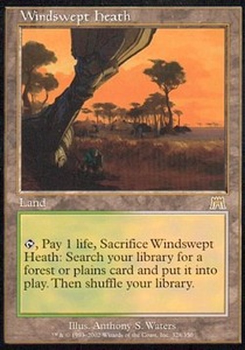 Magic: The Gathering Windswept Heath