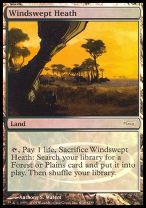 Magic: The Gathering Windswept Heath