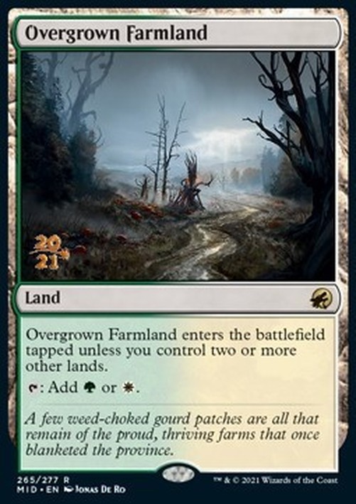 Magic: The Gathering Overgrown Farmland (V.1)