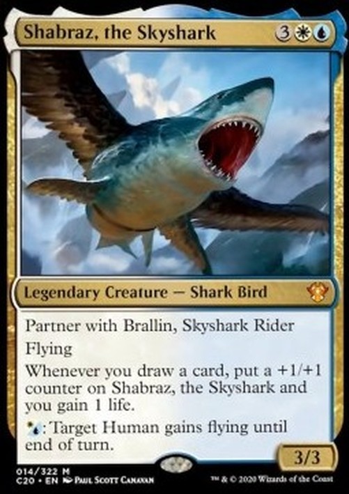Magic: The Gathering Shabraz, the Skyshark