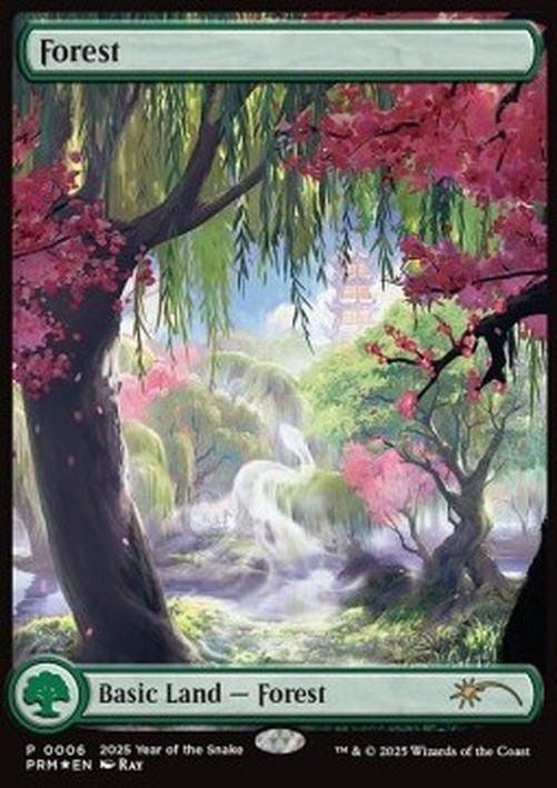 Magic: The Gathering Forest