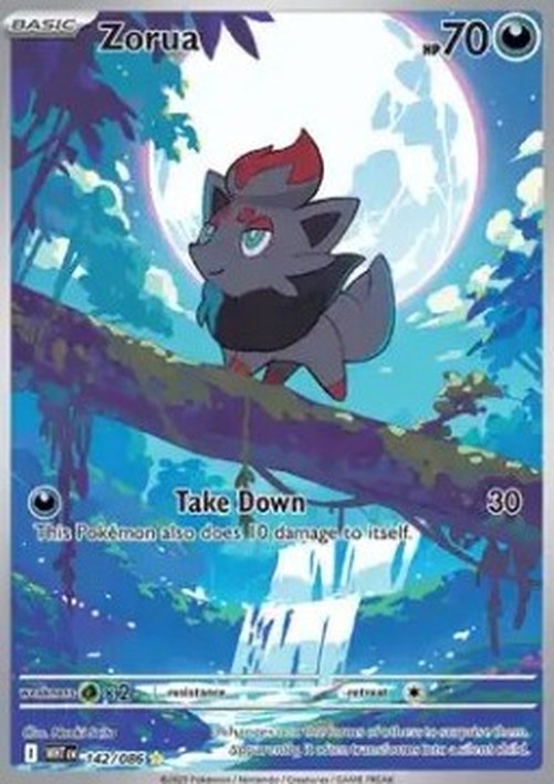 Pokemon Zorua  (WHT 142)