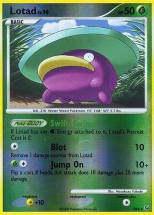 Pokemon Lotad Lv.14  (PL SH4)