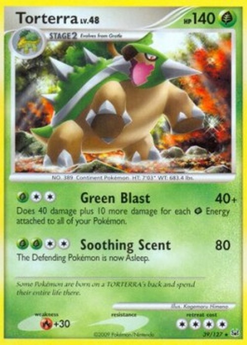 Pokemon Torterra Lv.48  (PL 39)