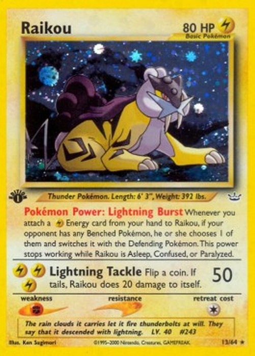 Pokemon Raikou (NR 13)