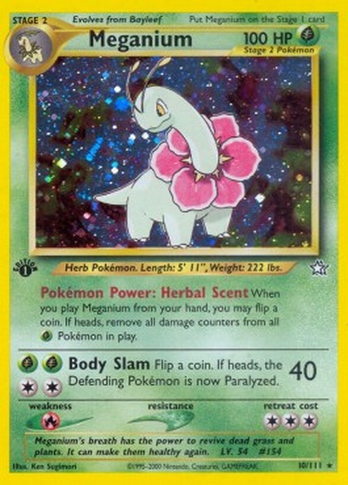 Pokemon Meganium  (NG 10)