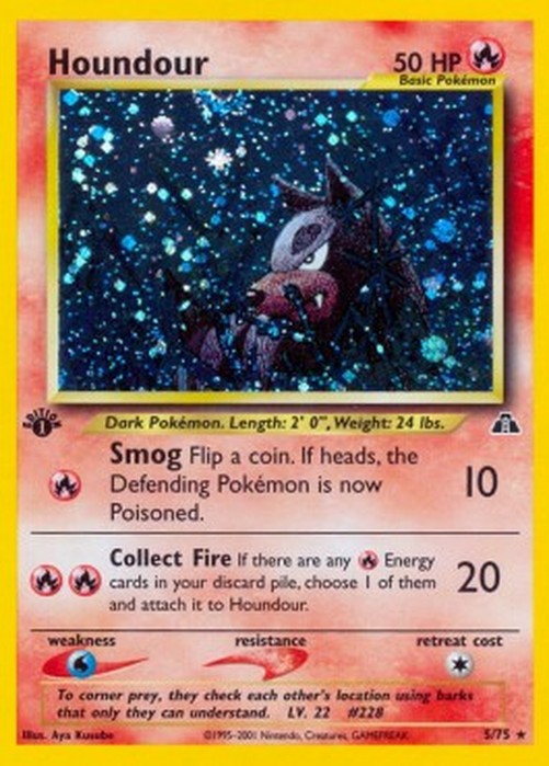 Pokemon Houndour  (NDI 5)