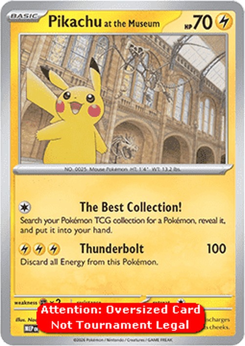 Pokemon Pikachu at the Museum (MEP)