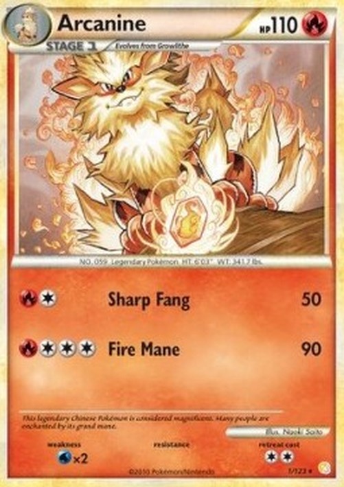 Pokemon Arcanine  (HS 1)