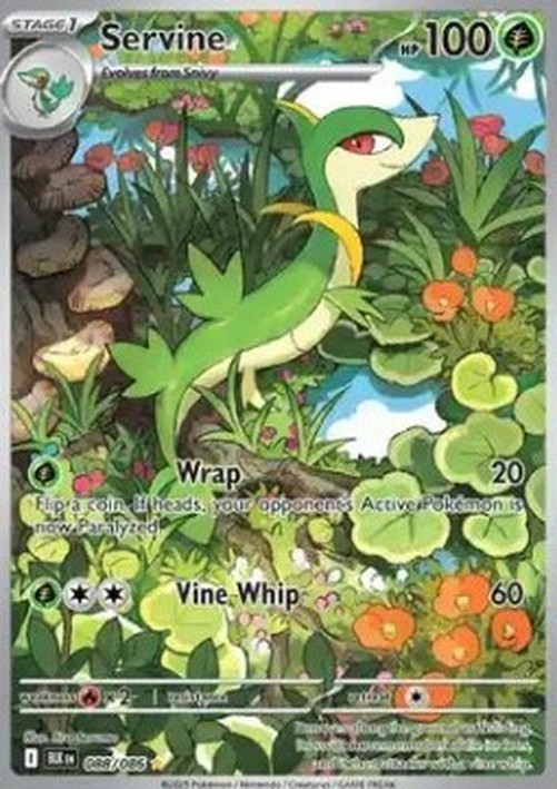 Pokemon Servine  (BLK 088)