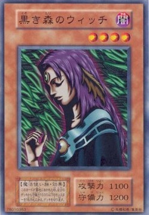 Yu-Gi-Oh! V6 Witch of the Black Forest