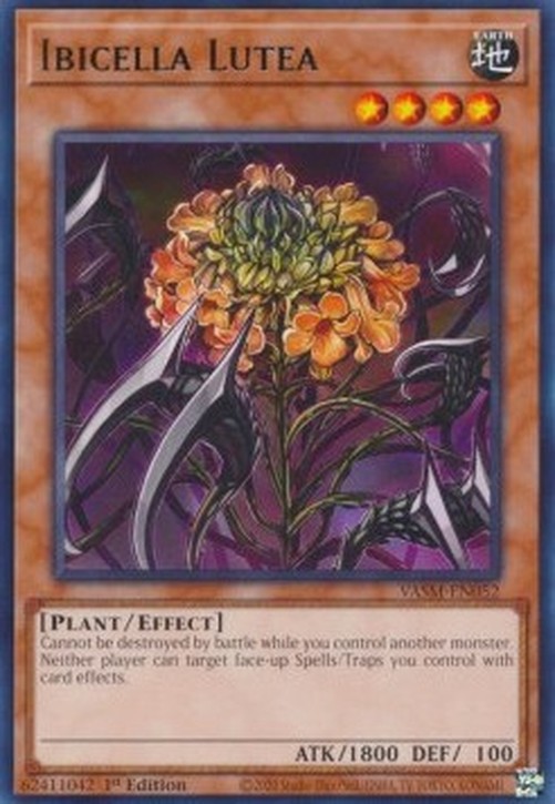 Yu-Gi-Oh! VASM Ibicella Lutea