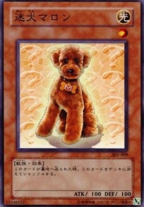 Yu-Gi-Oh! 305 Outstanding Dog Marron