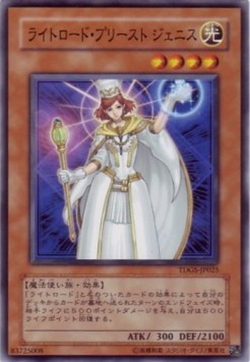 Yu-Gi-Oh! TDGS-JP Jenis, Lightsworn Mender