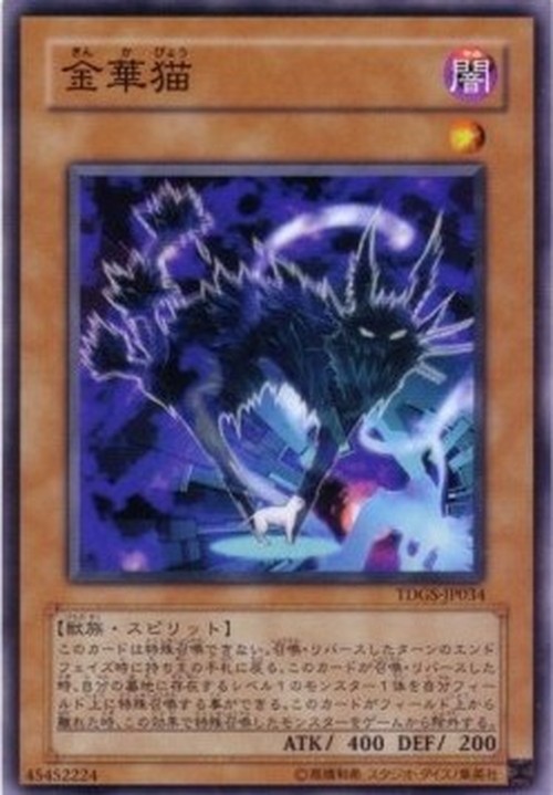 Yu-Gi-Oh! TDGS-JP Kinka-Byo