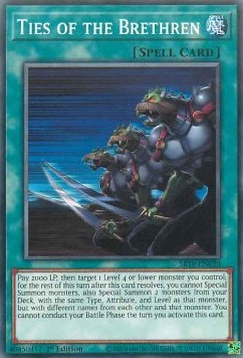 Yu-Gi-Oh! SR10 Ties of the Brethren