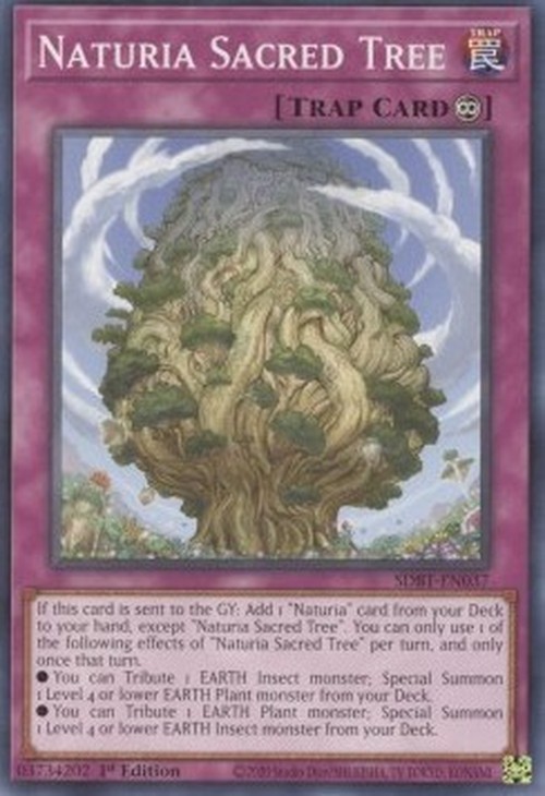 Yu-Gi-Oh! SDBT Naturia Sacred Tree