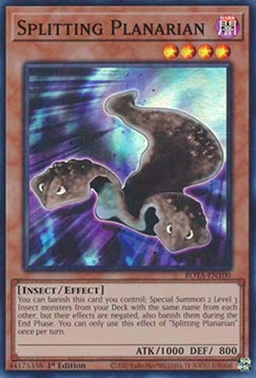 Yu-Gi-Oh! ROTA Splitting Planarian