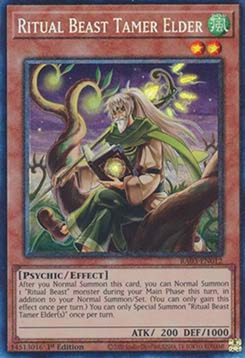 Yu-Gi-Oh! RA03 Ritual Beast Tamer Elder (V.6 - Collectors Rare)